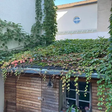 Guest house Sunnseitn - - Cafe - Weinkeller Haslach an der Muhl