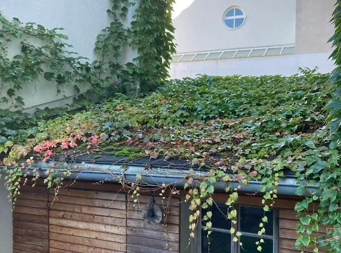 Guest house Sunnseitn - - Cafe - Weinkeller Haslach an der Muhl