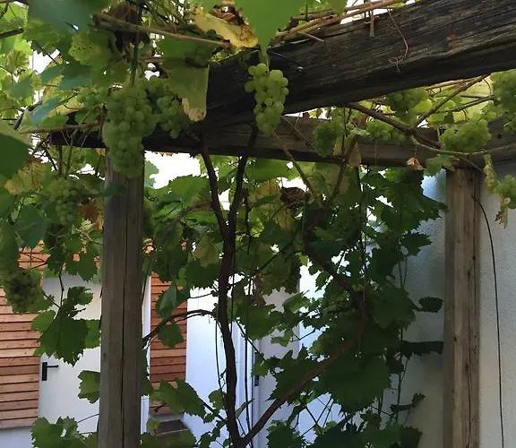 Guest house Sunnseitn - - Cafe - Weinkeller