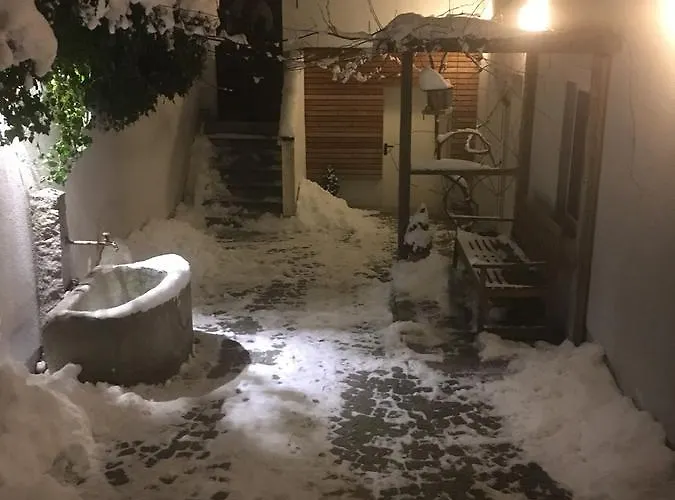 Guest house Sunnseitn - - Cafe - Weinkeller