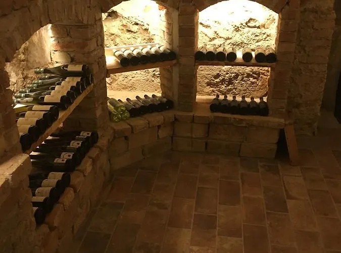 Sunnseitn - - Cafe - Weinkeller