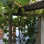 Pensjonat Sunnseitn - - Cafe - Weinkeller