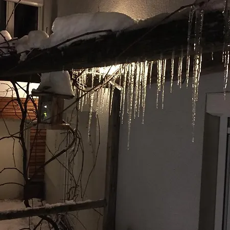 Pensjonat Sunnseitn - - Cafe - Weinkeller