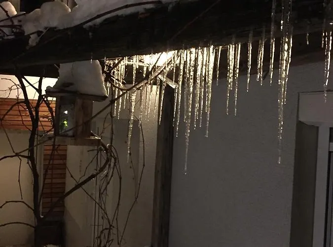 ゲストハウス Sunnseitn - - Cafe - Weinkeller