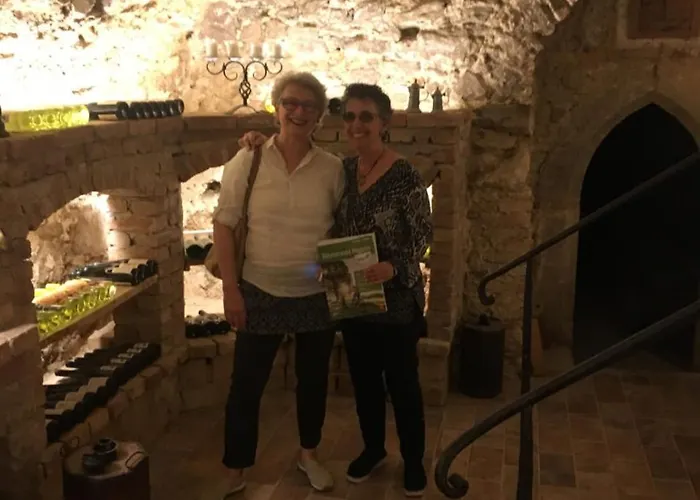 Sunnseitn - - Cafe - Weinkeller ゲストハウス 3*